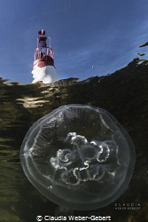 jellyfish and the lighthouse in the med - under the surfa... by Claudia Weber-Gebert 